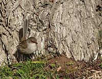 Click image for larger version

Name:	bwr2.jpg
Views:	78
Size:	238.6 KB
ID:	340231