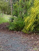 Click image for larger version

Name:	track.jpg
Views:	88
Size:	247.8 KB
ID:	340344