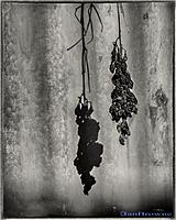 Click image for larger version

Name:	1309-103-1.jpg
Views:	95
Size:	161.0 KB
ID:	352771