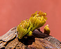 Click image for larger version

Name:	1309-112.jpg
Views:	77
Size:	149.8 KB
ID:	352799