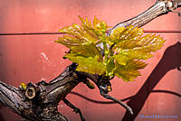 Click image for larger version

Name:	1309-105.jpg
Views:	83
Size:	151.2 KB
ID:	352803