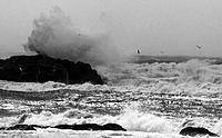 Click image for larger version

Name:	Wave bw.jpg
Views:	77
Size:	167.8 KB
ID:	355588