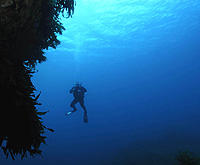 Click image for larger version

Name:	Weightless.jpg
Views:	79
Size:	62.7 KB
ID:	359225