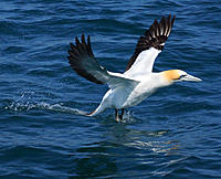 Click image for larger version

Name:	Lift off.jpg
Views:	116
Size:	161.9 KB
ID:	360082