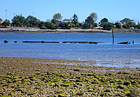 Click image for larger version

Name:	G Ward Cole.jpg
Views:	69
Size:	190.8 KB
ID:	360556