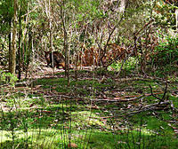 Click image for larger version

Name:	Spotted me.jpg
Views:	64
Size:	344.9 KB
ID:	361417