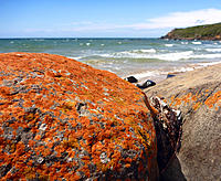 Click image for larger version

Name:	Orange rock.jpg
Views:	68
Size:	254.5 KB
ID:	363041