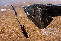 Click image for larger version

Name:	Seaweed 2.jpg
Views:	65
Size:	250.9 KB
ID:	363042