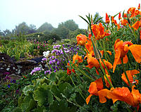 Click image for larger version

Name:	Orange and blue.jpg
Views:	60
Size:	222.2 KB
ID:	363596