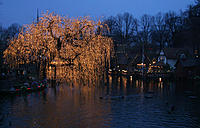 Click image for larger version

Name:	Duck pond..jpg
Views:	85
Size:	152.0 KB
ID:	365399