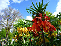 Click image for larger version

Name:	Crowns.jpg
Views:	71
Size:	186.6 KB
ID:	365550