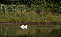 Click image for larger version

Name:	Peli 2.jpg
Views:	64
Size:	176.0 KB
ID:	368890