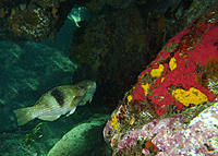 Click image for larger version

Name:	Garden inspection.jpg
Views:	72
Size:	182.8 KB
ID:	370234