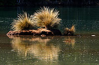 Click image for larger version

Name:	Marrum.jpg
Views:	110
Size:	182.0 KB
ID:	370324
