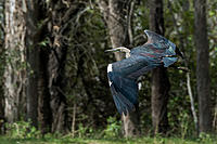 Click image for larger version

Name:	024-web.jpg
Views:	92
Size:	235.9 KB
ID:	372351