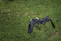 Click image for larger version

Name:	022-web.jpg
Views:	91
Size:	458.2 KB
ID:	372352