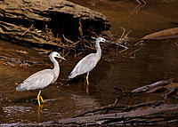 Click image for larger version

Name:	Here looks ok.jpg
Views:	76
Size:	184.1 KB
ID:	373117