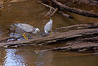 Click image for larger version

Name:	In there.jpg
Views:	88
Size:	186.7 KB
ID:	373118