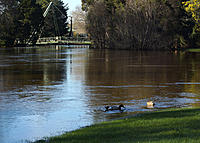 Click image for larger version

Name:	Flooded feed.jpg
Views:	55
Size:	316.7 KB
ID:	373777