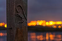 Click image for larger version

Name:	QAL-Bokeh.jpg
Views:	85
Size:	224.1 KB
ID:	375107