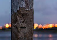 Click image for larger version

Name:	005-bokeh.jpg
Views:	83
Size:	466.5 KB
ID:	375108