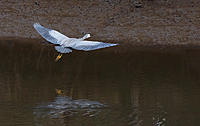 Click image for larger version

Name:	Approach.jpg
Views:	77
Size:	328.1 KB
ID:	380981