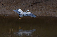 Click image for larger version

Name:	Air brakes on..jpg
Views:	71
Size:	340.6 KB
ID:	380982