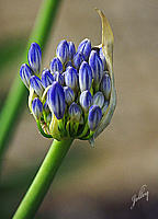 Click image for larger version

Name:	wonder of nature.jpg
Views:	41
Size:	620.8 KB
ID:	381553