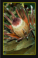 Click image for larger version

Name:	card copy.jpg
Views:	49
Size:	569.6 KB
ID:	381564