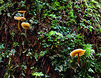 Click image for larger version

Name:	Delicate.jpg
Views:	87
Size:	981.8 KB
ID:	381873