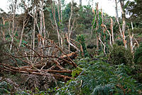 Click image for larger version

Name:	Over the hill.jpg
Views:	78
Size:	283.4 KB
ID:	387127