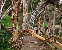 Click image for larger version

Name:	Broken track.jpg
Views:	72
Size:	330.1 KB
ID:	387128