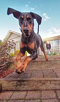 Click image for larger version

Name:	image.jpg
Views:	51
Size:	114.4 KB
ID:	408774