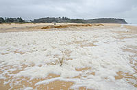 Click image for larger version

Name:	Jeanie dirty 3 PH.jpg
Views:	65
Size:	213.5 KB
ID:	411430
