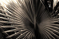 Click image for larger version

Name:	SDIM5030-XL.jpg
Views:	71
Size:	298.4 KB
ID:	412649