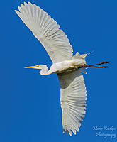 Click image for larger version

Name:	
Views:	57
Size:	189.8 KB
ID:	413273