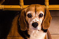 Click image for larger version

Name:	20160428-DSC_1669.jpg
Views:	56
Size:	350.0 KB
ID:	422233