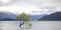 Click image for larger version

Name:	Greenspeed-willow-Edit.jpg
Views:	49
Size:	223.7 KB
ID:	437648