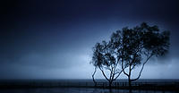 Click image for larger version

Name:	_115 copy.jpg
Views:	88
Size:	127.0 KB
ID:	445046