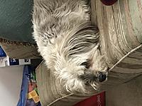 Click image for larger version

Name:	IMG_0378.JPG
Views:	45
Size:	153.0 KB
ID:	446358