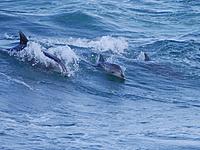 Click image for larger version

Name:	Untitled-1.jpg
Views:	58
Size:	177.1 KB
ID:	446496