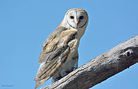 Click image for larger version

Name:	
Views:	61
Size:	858.9 KB
ID:	446531