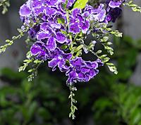 Click image for larger version

Name:	water1.jpg
Views:	55
Size:	138.7 KB
ID:	449061