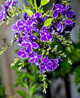 Click image for larger version

Name:	water2.jpg
Views:	68
Size:	134.6 KB
ID:	449067