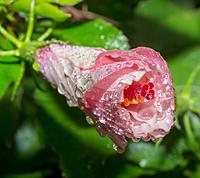 Click image for larger version

Name:	water4.jpg
Views:	80
Size:	93.6 KB
ID:	449072