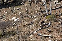 Click image for larger version

Name:	1808_MG_0925.jpg
Views:	81
Size:	482.6 KB
ID:	455666