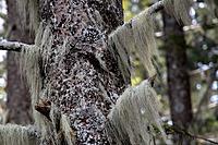 Click image for larger version

Name:	19095233.jpg
Views:	141
Size:	255.0 KB
ID:	467645