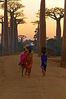 Click image for larger version

Name:	_MG_8840.jpg
Views:	59
Size:	370.1 KB
ID:	474109