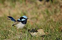 20210910_TygumPark_0024_sml.jpg
