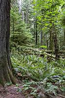Click image for larger version

Name:	IMG_5783.jpg
Views:	121
Size:	144.4 KB
ID:	483961